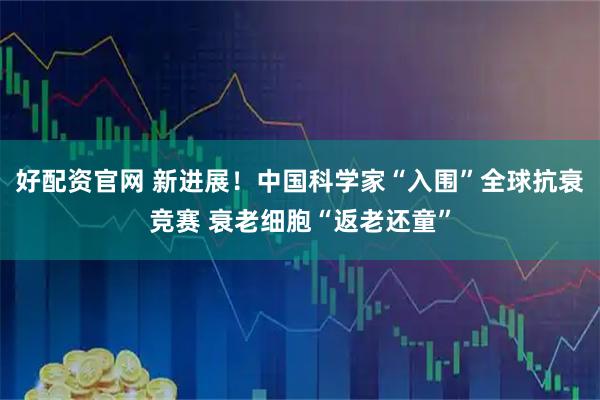 好配资官网 新进展!中国科学家“入围”全球抗衰竞赛 衰老细胞“返老还童”