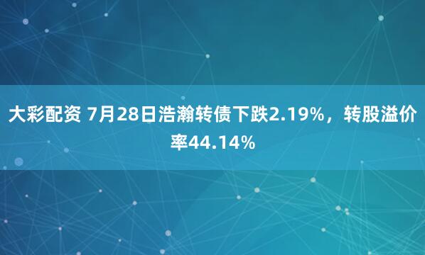 大彩配资 7月28日浩瀚转债下跌2.19%,转股溢价率44.14%
